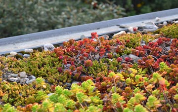 the cost of Little Bavington green roof installation