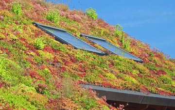 Little Bavington living roof systems